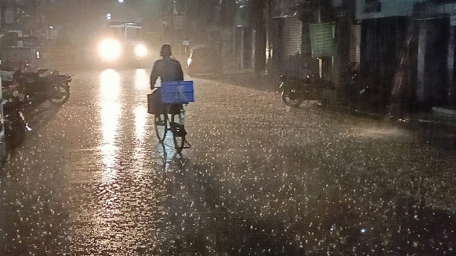 நெல்லையில் அதி கனமழை: ஊத்தில் 232 மி.மீ, நாலுமுக்கில் 220 மி.மீ மழைப் பொழிவு!