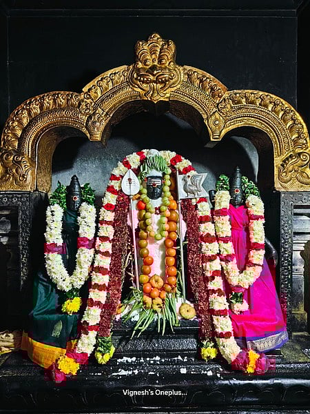 ரத்தினகிரி பாலமுருகன் கோயில் அன்னாபிஷேகம்