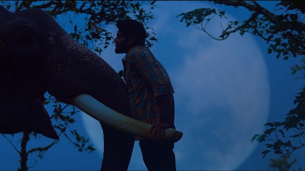 கும்கி 2 - டிரைலர் வெளியீடு!