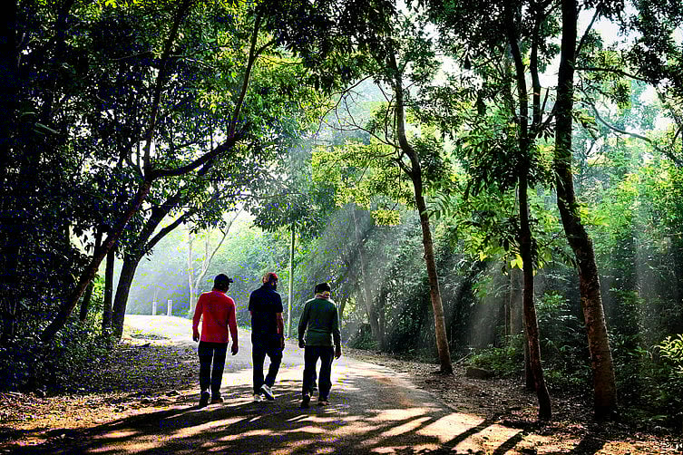 உடல் எடையைக் குறைக்க தினமும் 10,000 அடிகள் நடக்க வேண்டுமா?