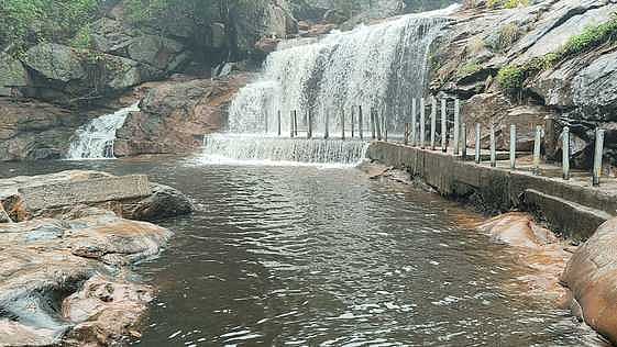 பஞ்சலிங்கம் அருவியில் குளிக்கத் தடை