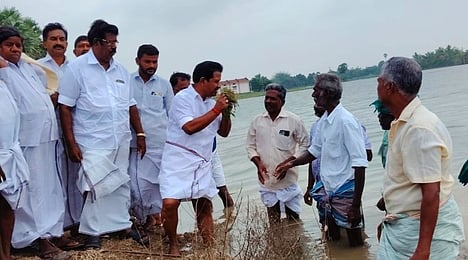 பாதிப்புக்குள்ளான பயிா்களுக்கு நிவாரணம்: முன்னாள் அமைச்சா் ஆா் காமராஜ் வலியுறுத்தல்