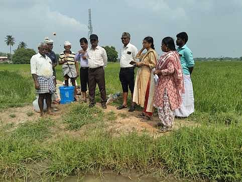 நெல் பயிரில் நோய்த் தாக்குதல்: 
வேளாண் அதிகாரிகள் ஆய்வு