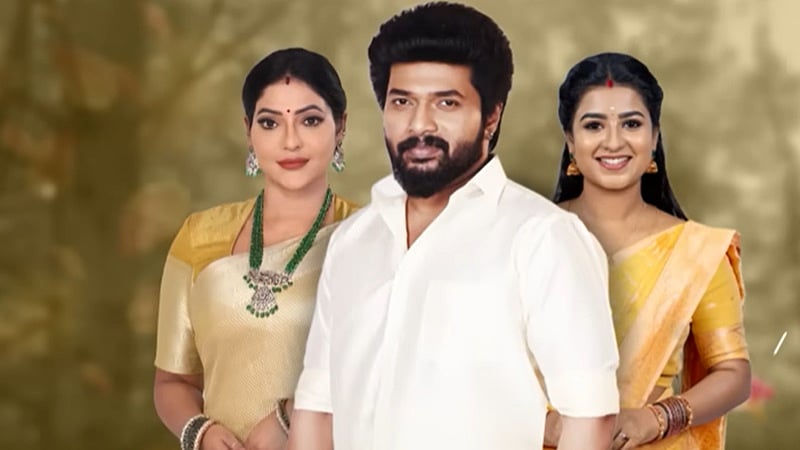 கார்த்திகை தீபம் தொடரில் விஜய் பட நாயகி!