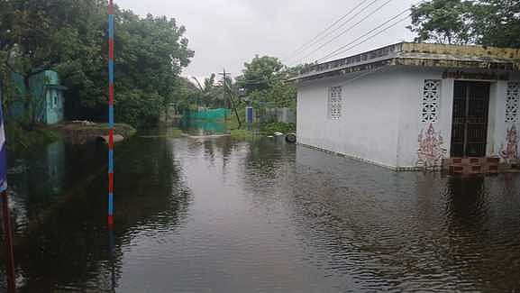 டித்வா புயல்: வேதாரண்யம் பகுதியில் கனமழை நீரில் மூழ்கிய உப்பளங்கள்