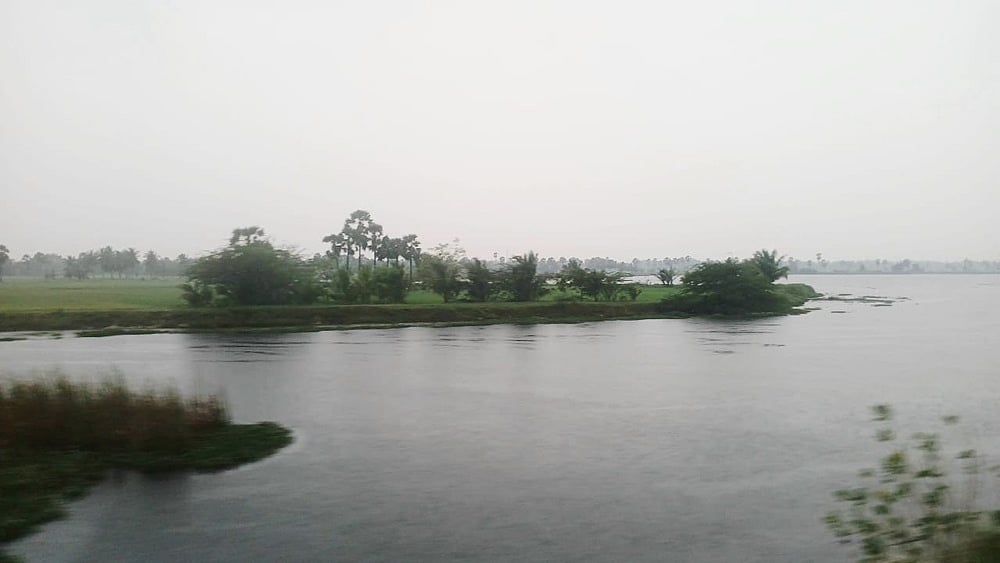 வேதாரண்யம் பகுதியில் படிப்படியாக அதிகரிக்கும் மழை!  கோடியக்கரையில் 203 மி. மீ. பதிவு