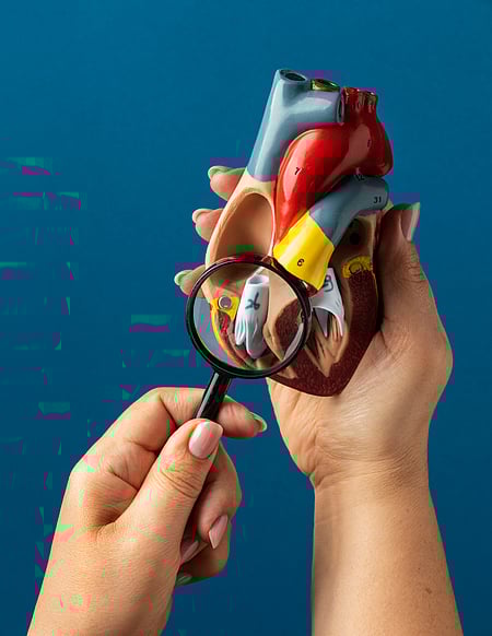 மாரடைப்பு அபாயம்! காலையில் எழுந்தவுடன் இந்த அறிகுறிகள் இருக்கிறதா?