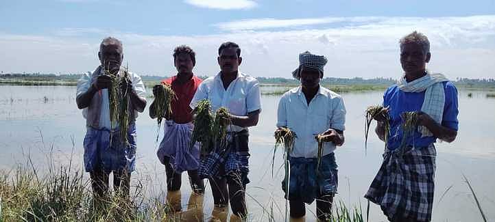 நீரில் மூழ்கிய 10,000 ஏக்கா் நெற்பயிா்: விவசாயிகள் வேதனை