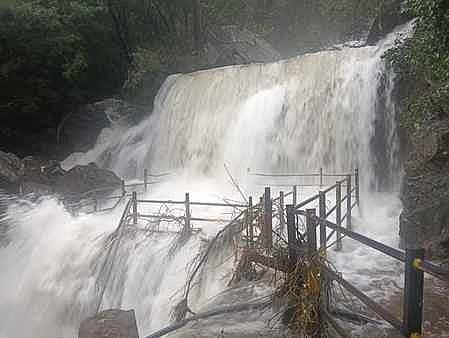 சுருளி அருவியில் குளிக்கத் தடை