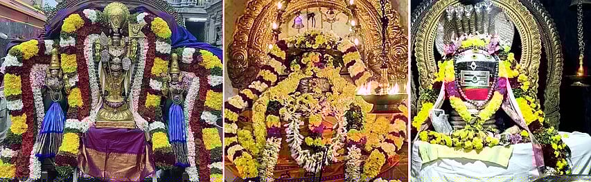 காா்த்திகை தீபத் திருவிழா: 
சிவாலயங்களில் சிறப்பு வழிபாடு