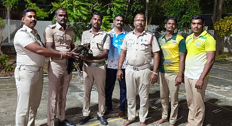 கிணற்றில் விழுந்த மயில் மீட்பு