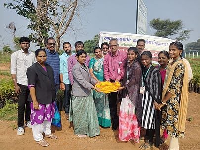 பனை விதைப்பு, மரக்கன்றுகள் நடவு