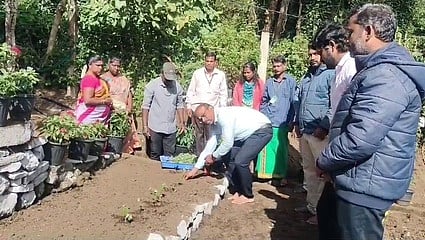 கொடைக்கானலில் கண்காட்சிக்காக மலா்ச் செடிகள் நடவு செய்யும் பணி