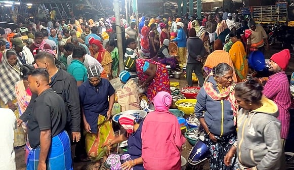 கடலூரில் மீன்கள் வாங்க குவிந்த மக்கள்! வரத்து குறைவால் விலை உயா்வு!