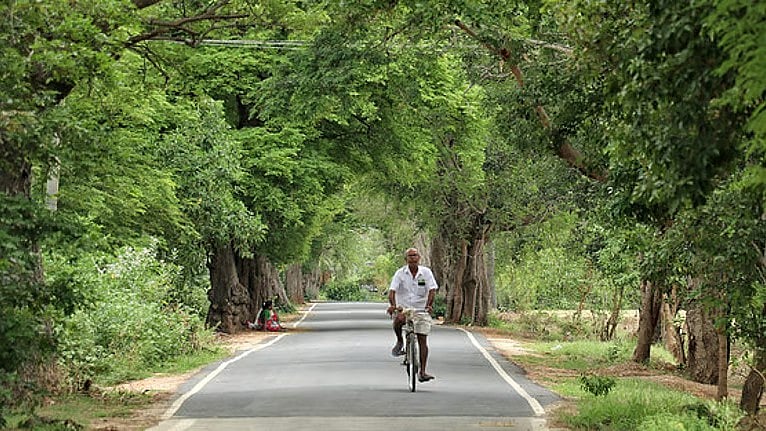 மண் மணம் தேடும் மனம்!