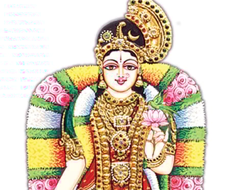 மார்கழி வழிபாடு: திருப்பாவை, திருவெம்பாவை - பாசுரம் 8