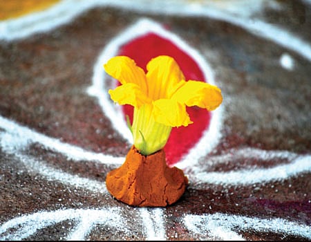 வாசலிலே பூசணிப் பூ.. கோலத்தை அலங்கரிக்க இந்தப் பூவை தேர்ந்தெடுத்தது ஏன்?