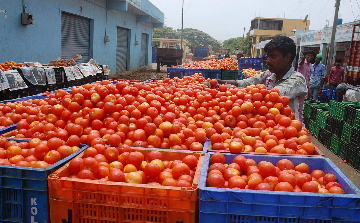 ராக்கெட் வேகத்தில் சென்ற தக்காளி, முருங்கைக்காய் விலை சற்று குறைந்தது!