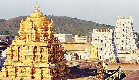 ஏழுமலையான் உண்டியல் காணிக்கை ரூ.4.31 கோடி