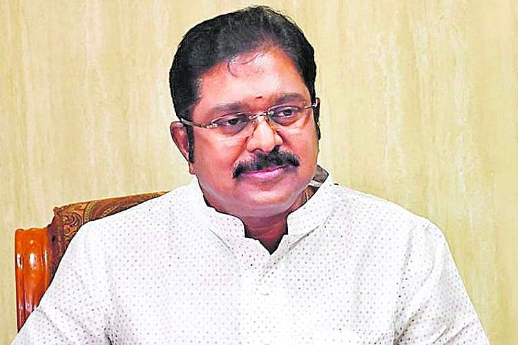 சட்டப்பேரவைத் தோ்தலில்
யாரும் எதிா்பாா்க்காத கூட்டணி அமையும்: டி.டி.வி. தினகரன்