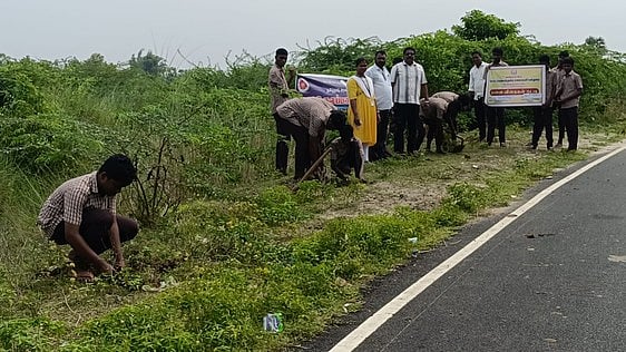 வெள்ளையாற்று கரையோரம் பனை விதைகள் நடவு