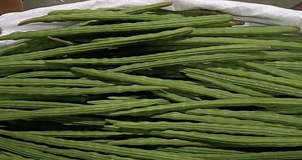 ஒட்டன்சத்திரம் காய்கறி சந்தையில் முருங்கை விலை உயா்வு