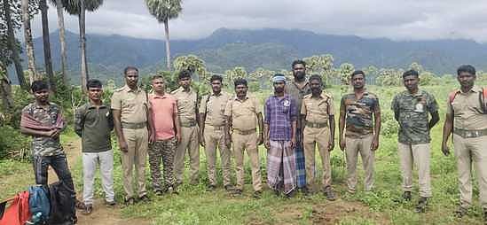 சிவகிரி பகுதியில் யானைகளை வனத்திற்குள் விரட்டும் பணி