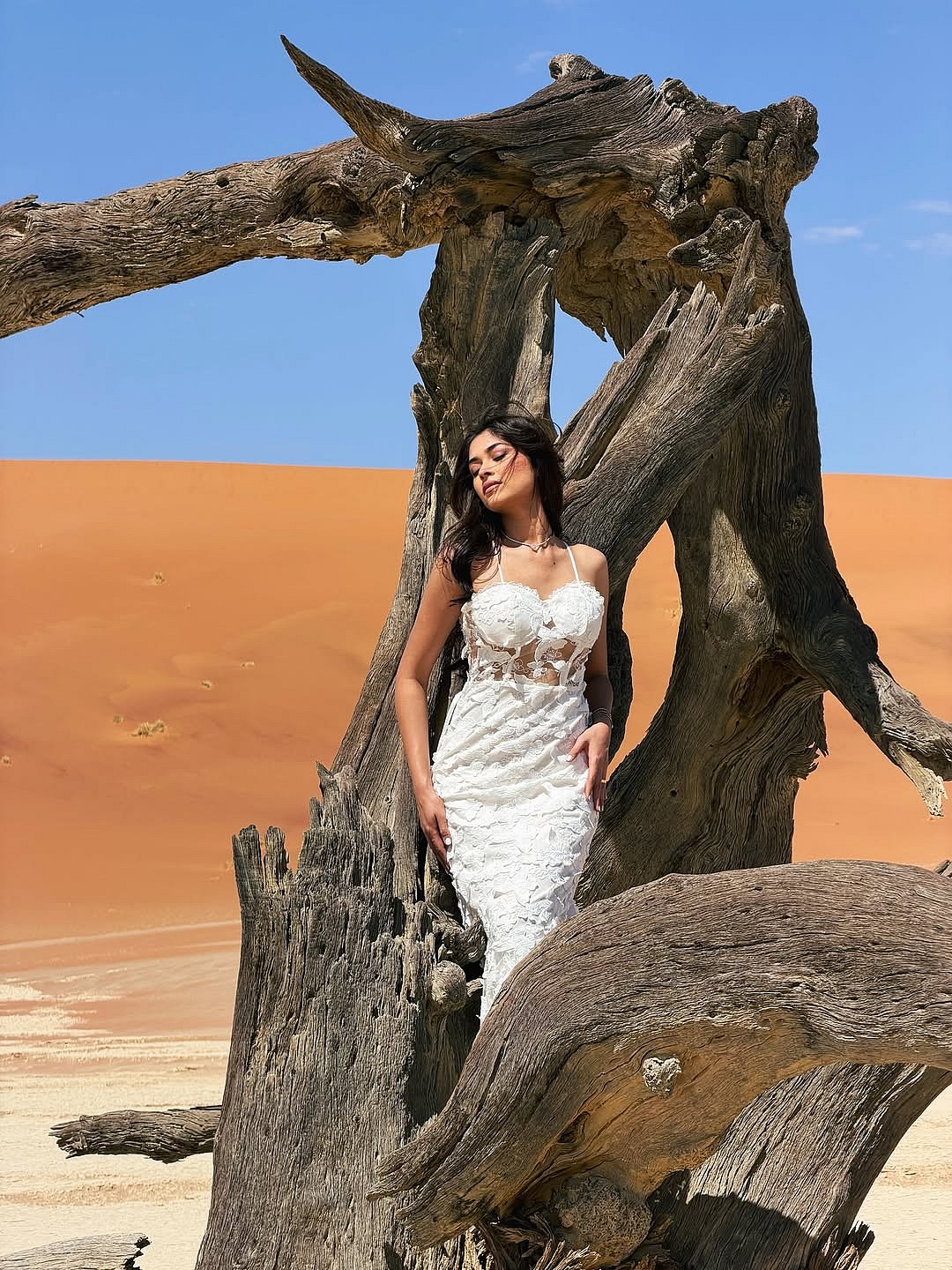 நமீபியாவில்... நந்தினி!